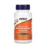 Now Foods Berrydophilus Kids, 50 Chewables