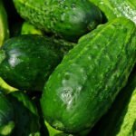 Weight Loss Cucumber