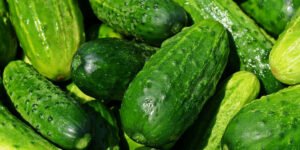 The Wonderful Weight Loss Effect of Cucumber