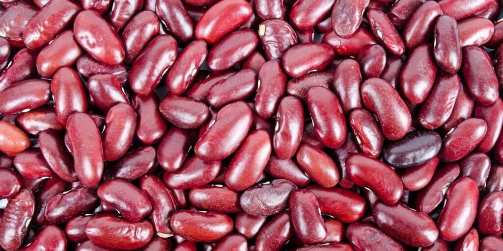 Weight Loss Kidney Beans 01