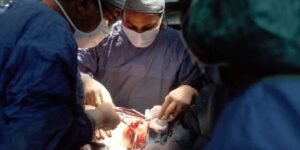 Heart Valve Surgery: Valve Repair and Replacement, Types and Costs