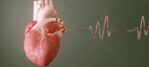 Understanding Heart Disease: The Top Risk Factors and Best Ways to Prevent it